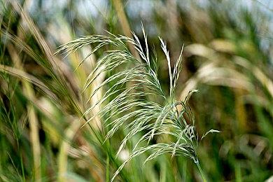 动画改编游戏《忍者神威：忍者起源》Steam页面开放 年内发售