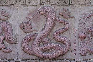 《展翅翱翔》公布新DLC“大洋洲篇” 添加上百种全新鸟类